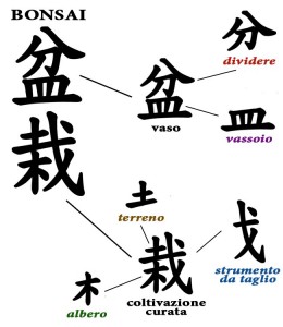 Ideogramma bonsai significato